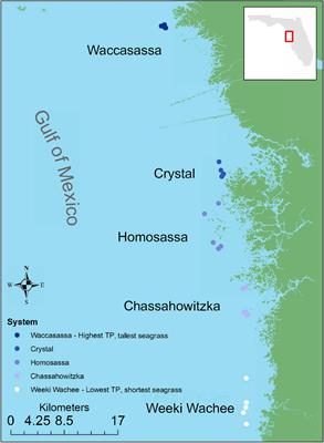 Variation in Seagrass-Associated Macroinvertebrate Communities Along the Gulf Coast of Peninsular Florida: An Exploration of Patterns and Ecological Consequences